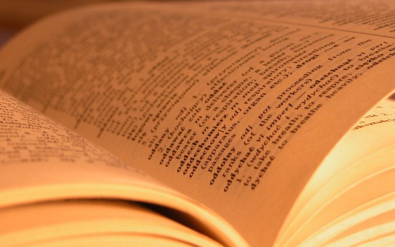 traducción y gestión terminológica